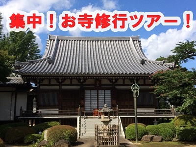 �c���c���̃n�s�l�X�c���ŋ������胉���L���O�́H