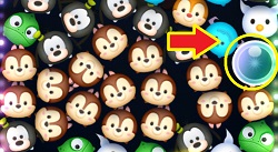 �c���c���́u�`�b�v�v�u�f�[���v�̈Ⴂ�Ƃ́H